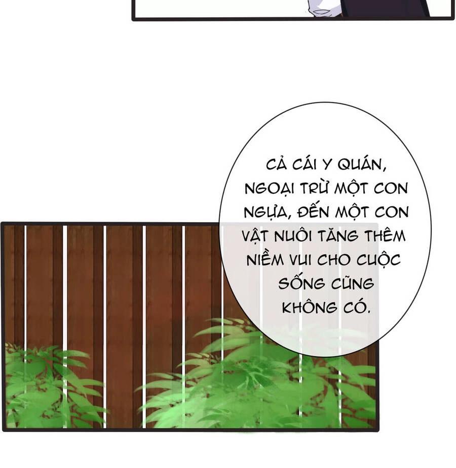 Hạnh Lâm Phương Hoa Chapter 14 - 4