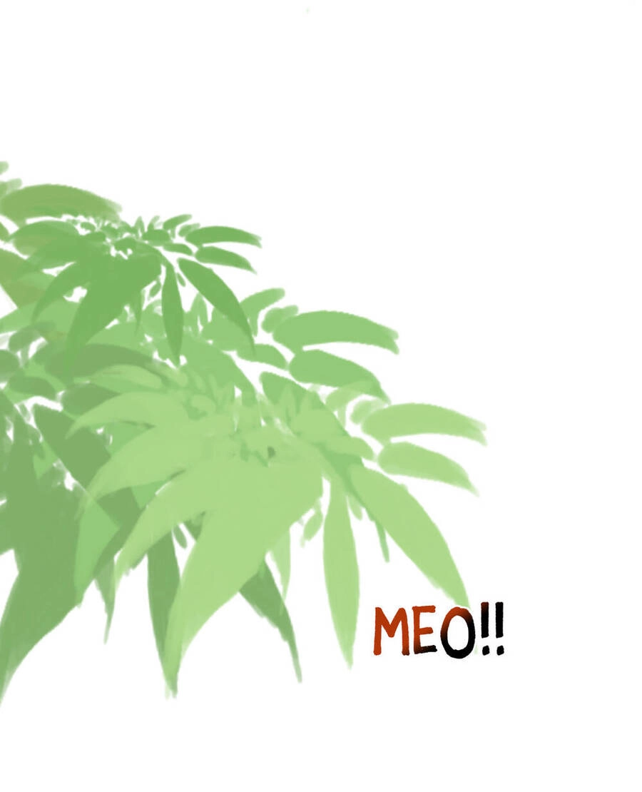 Hạnh Lâm Phương Hoa Chapter 14 - 12