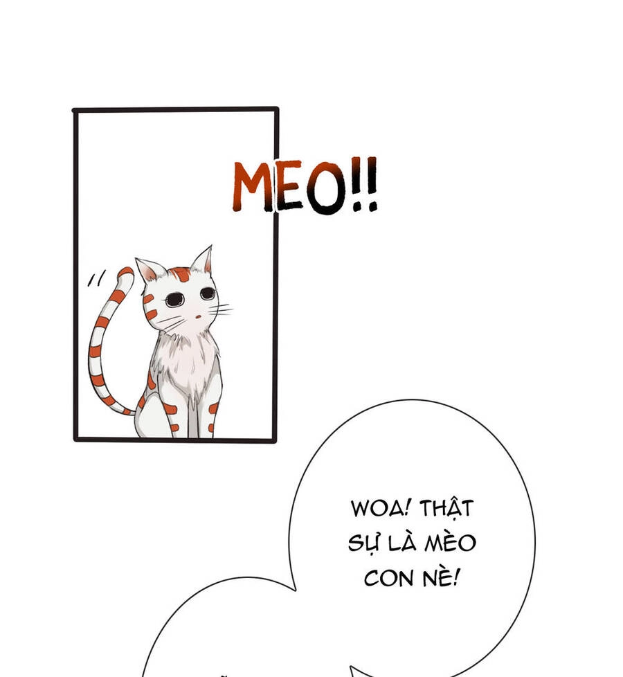 Hạnh Lâm Phương Hoa Chapter 14 - 14