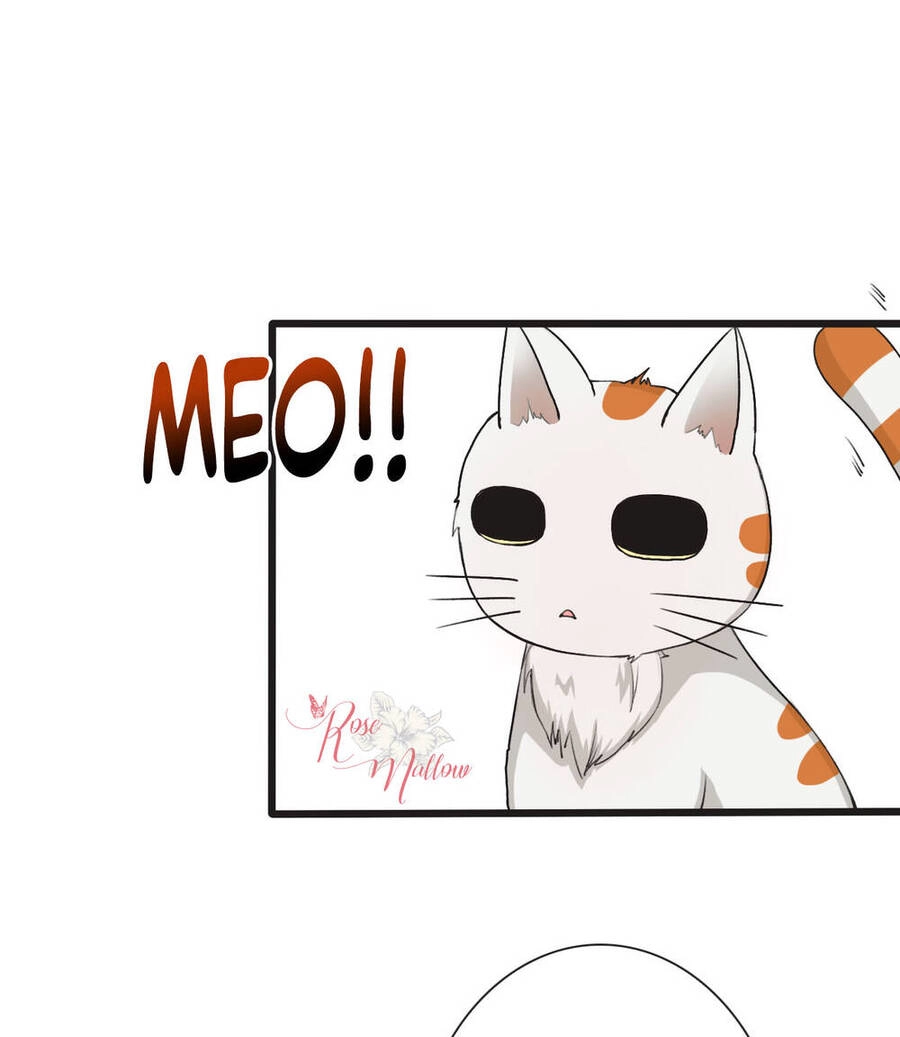 Hạnh Lâm Phương Hoa Chapter 14 - 16