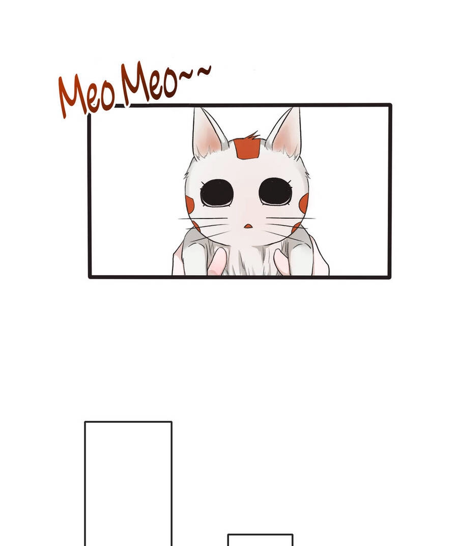 Hạnh Lâm Phương Hoa Chapter 14 - 18