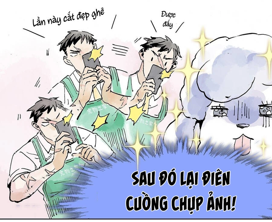 Bạn Cùng Lớp Tôi Đều Kỳ Lạ Chapter 14 - 12