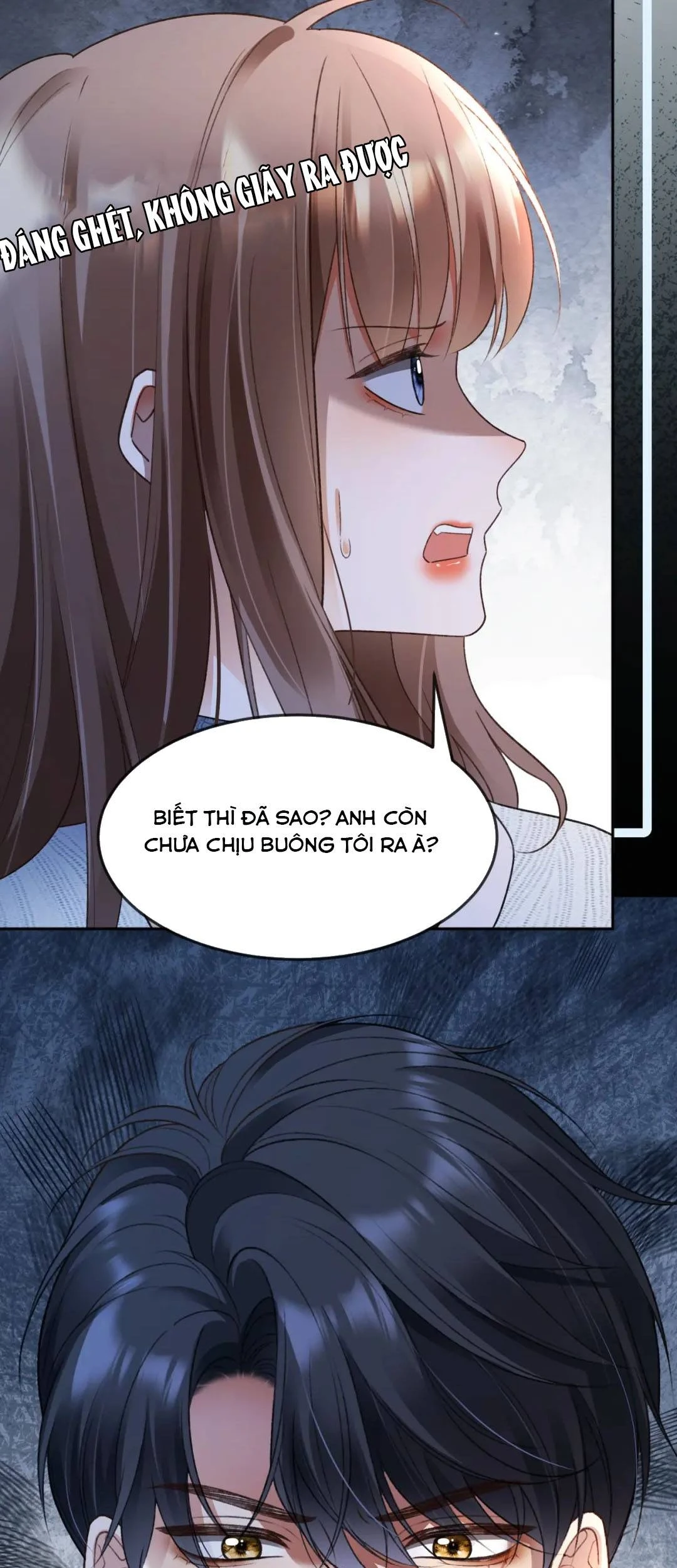 Tổng Tài Tỷ Phú Chỉ Sủng Cô Vợ Thế Thân Chapter 147 - 21
