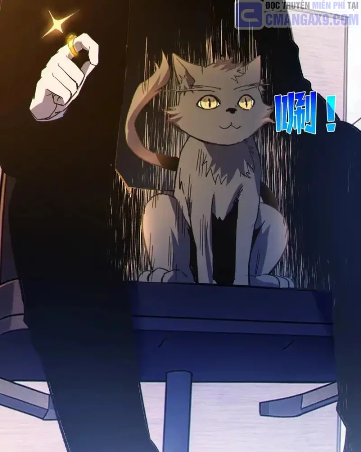 Vô Địch Bị Động Tạo Ra Tấn Sát Thương Chapter 137 - 91