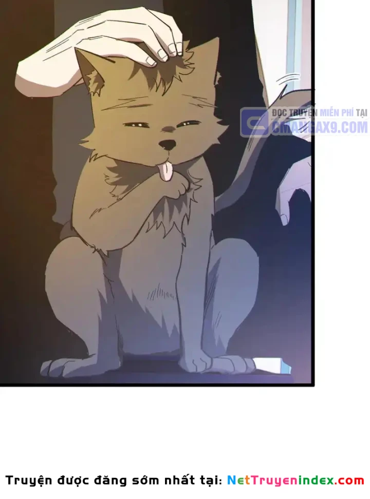 Vô Địch Bị Động Tạo Ra Tấn Sát Thương Chapter 137 - 95