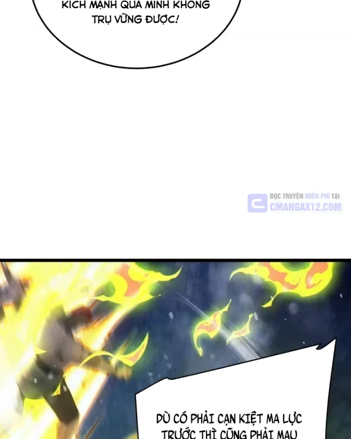 Vô Địch Bị Động Tạo Ra Tấn Sát Thương Chapter 148 - 111