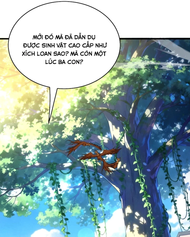 Vô Địch Bị Động Tạo Ra Tấn Sát Thương Chapter 162 - 65