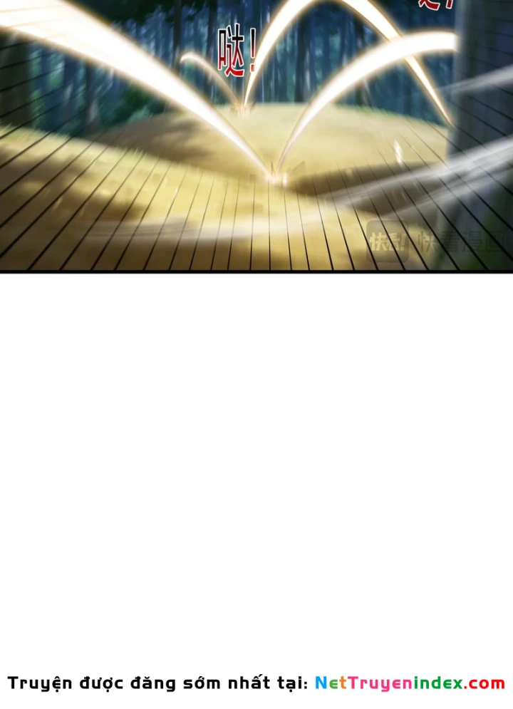 Vô Địch Bị Động Tạo Ra Tấn Sát Thương Chapter 164 - 100