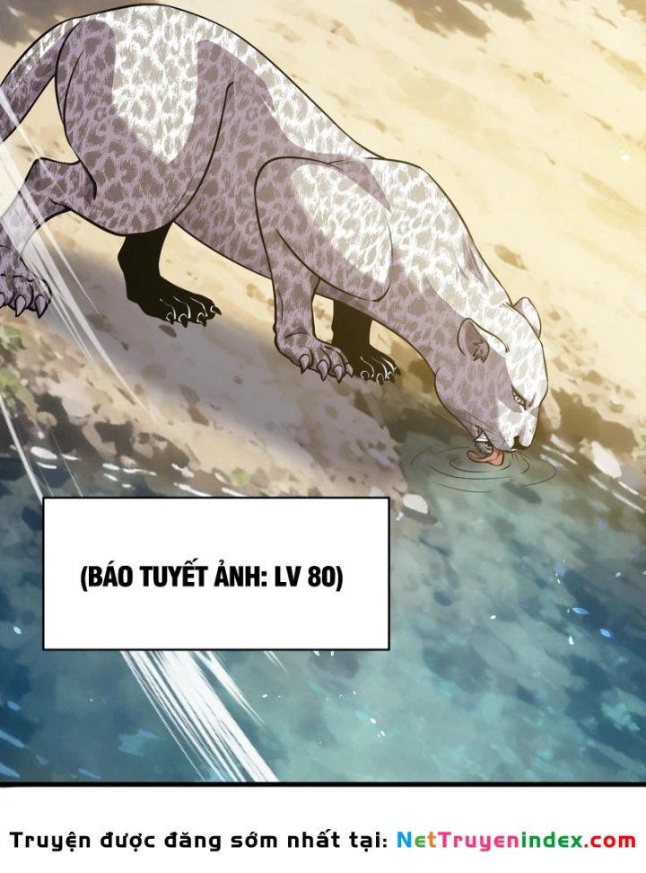 Vô Địch Bị Động Tạo Ra Tấn Sát Thương Chapter 166 - 99
