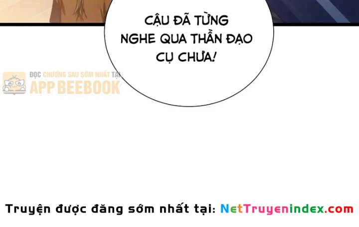 Vô Địch Bị Động Tạo Ra Tấn Sát Thương Chapter 177 - 50