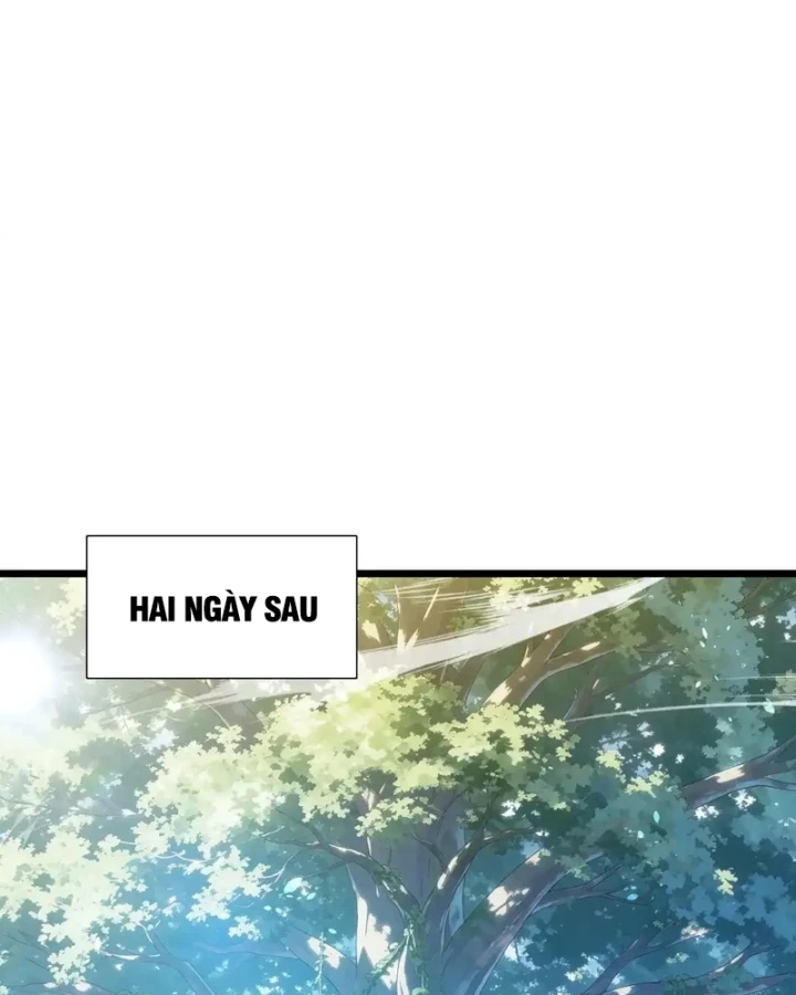 Vô Địch Bị Động Tạo Ra Tấn Sát Thương Chapter 177 - 90