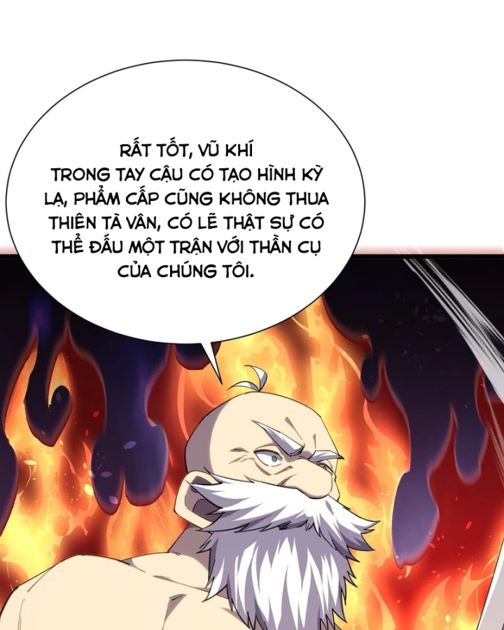 Vô Địch Bị Động Tạo Ra Tấn Sát Thương Chapter 178 - 113