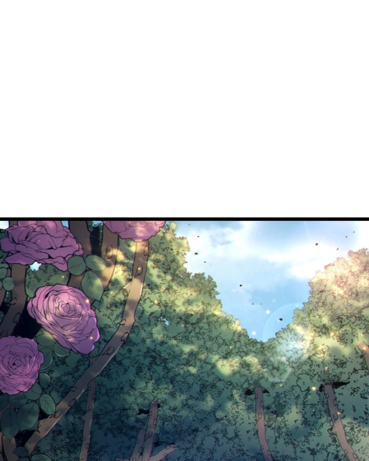 Vô Địch Bị Động Tạo Ra Tấn Sát Thương Chapter 117 - 68