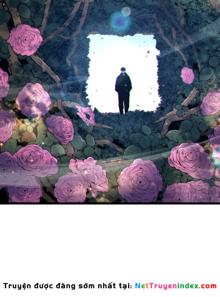 Vô Địch Bị Động Tạo Ra Tấn Sát Thương Chapter 117 - 69