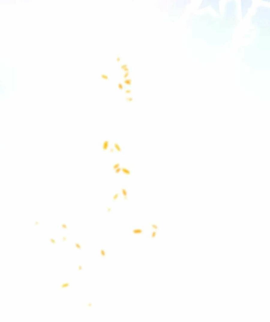 Chỉ Có Tình Yêu Mới Có Thể Ngăn Cản Hắc Hóa Chapter 31 - 80