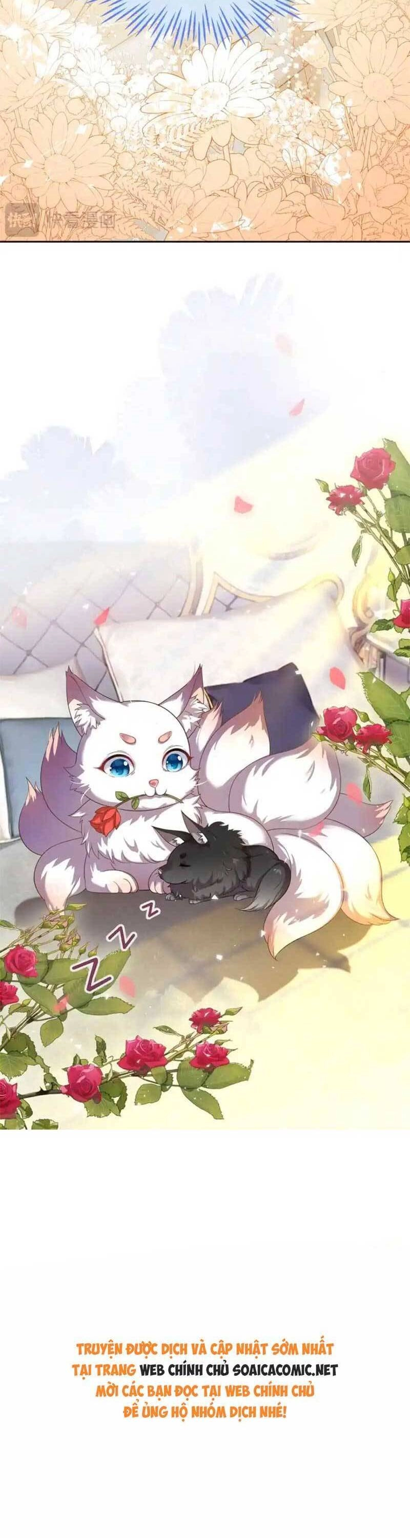 Kết Hôn Với Người Quyền Lực Nhất Hành Tinh Chapter 27 - 24