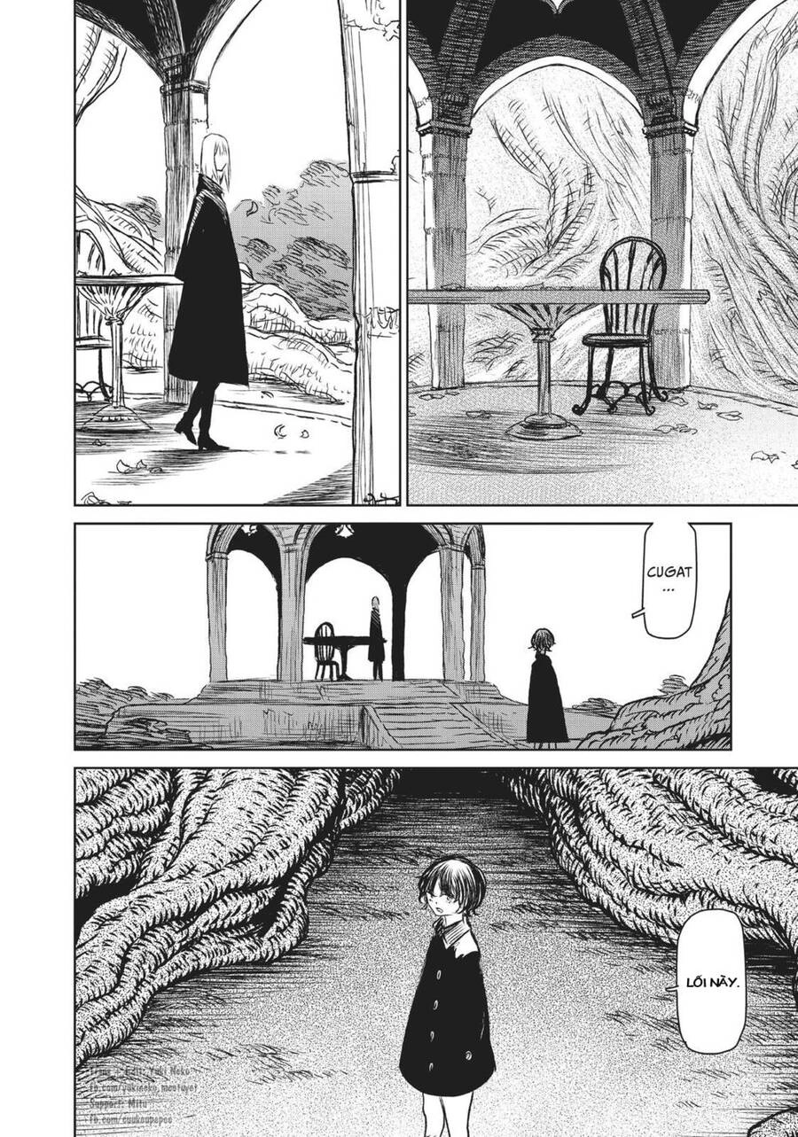 Majo To Yajuu Chapter 50 - 3