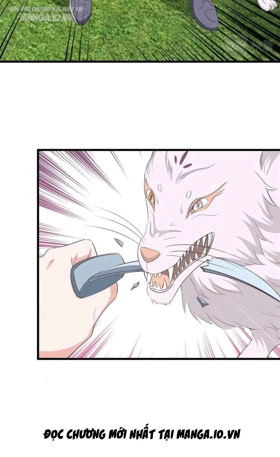 Lão Ba Cho Tôi Lựa Một Trong Mười Nữ Thần Để Kết Hôn Chapter 84 - 2