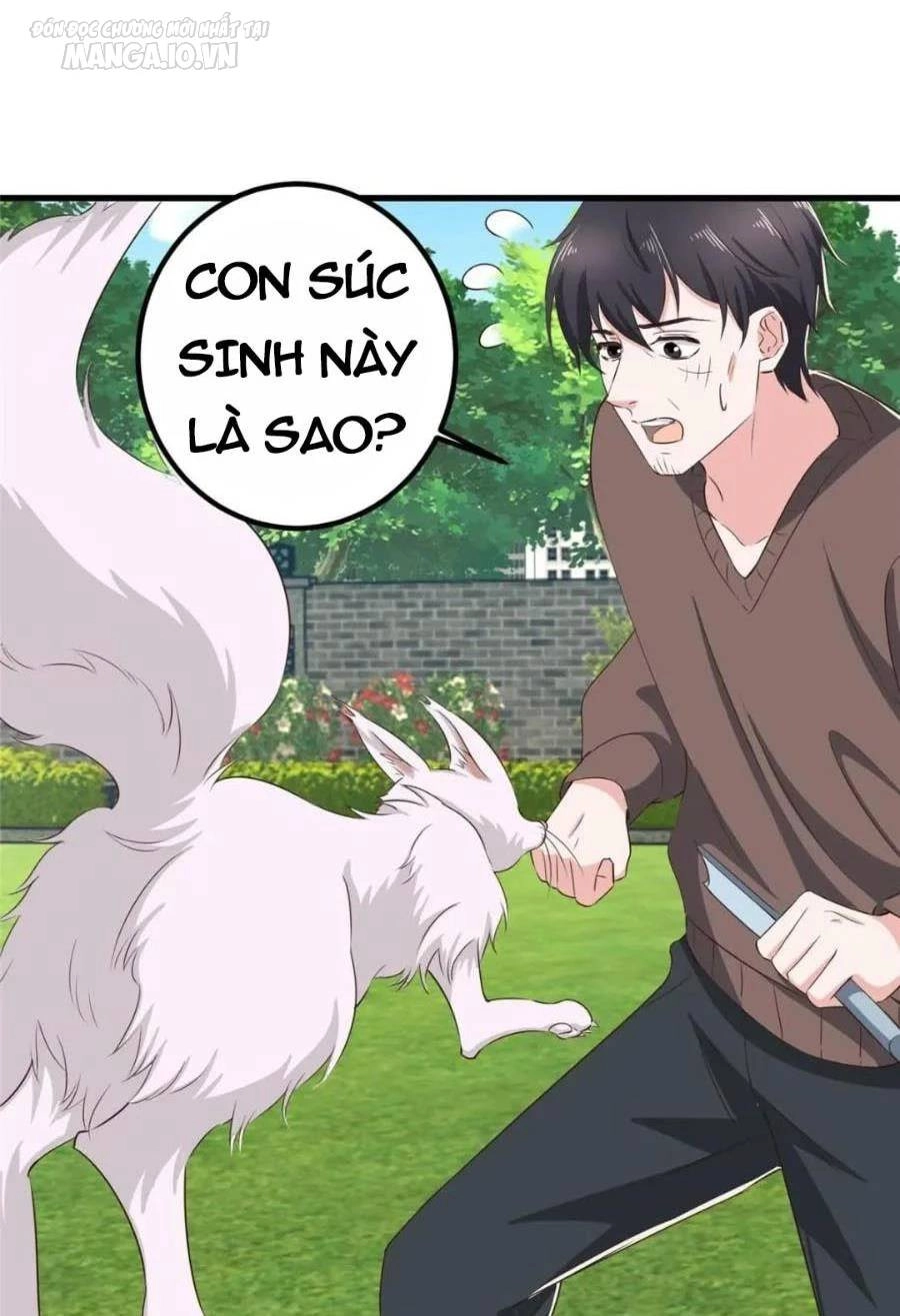 Lão Ba Cho Tôi Lựa Một Trong Mười Nữ Thần Để Kết Hôn Chapter 84 - 3