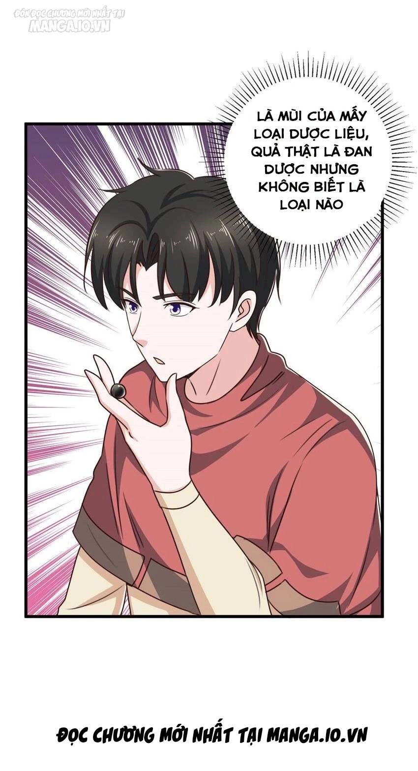 Lão Ba Cho Tôi Lựa Một Trong Mười Nữ Thần Để Kết Hôn Chapter 96 - 12