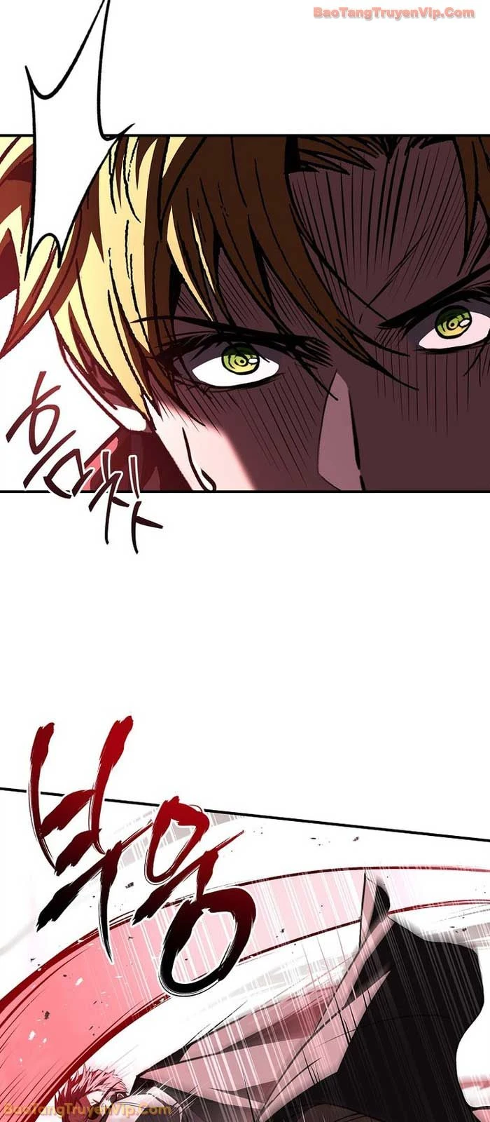 Thiên Tài Ma Pháp Sư Giấu Nghề Chapter 118 - 46