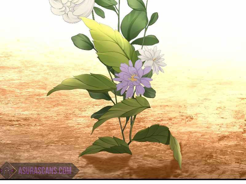 Thiên Tài Ma Pháp Sư Giấu Nghề Chapter 23 - 221