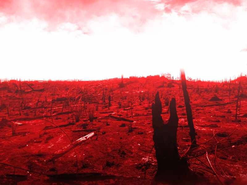 Thiên Tài Ma Pháp Sư Giấu Nghề Chapter 24 - 83