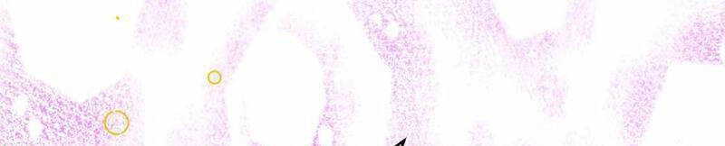 Tân Hỗn Độn Kiếm Thần Chapter 84 - 61