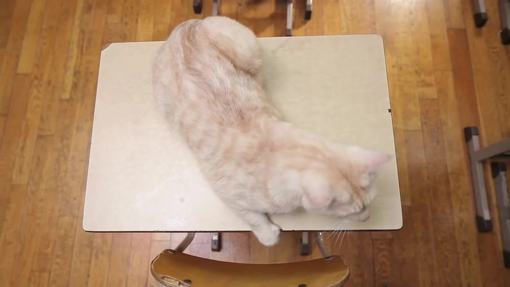 Tonari No Seki-Kun Chapter 42.5 - 14