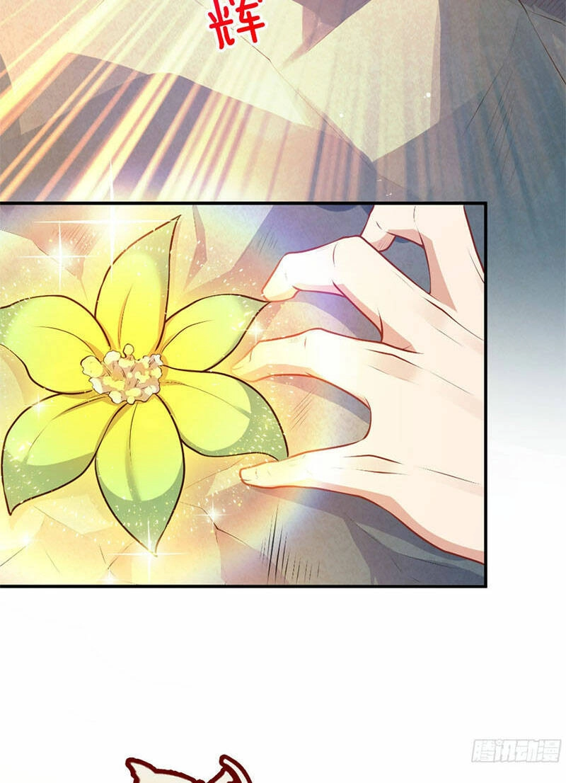 Vạn Đạo Chúa Tể Chapter 14 - 41