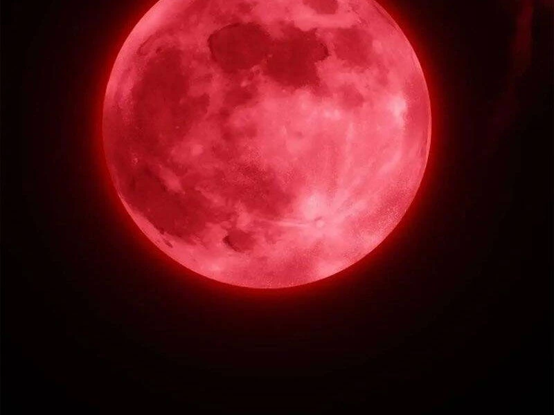 Thái Cổ Yêu Thánh Lấy Ta Làm Lô Đỉnh Chapter 38 - 27