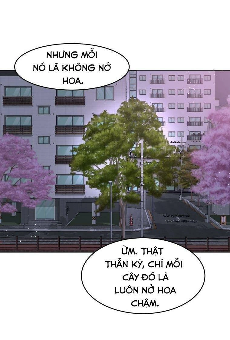 Bí Mật Highteen Chapter 15 - 61