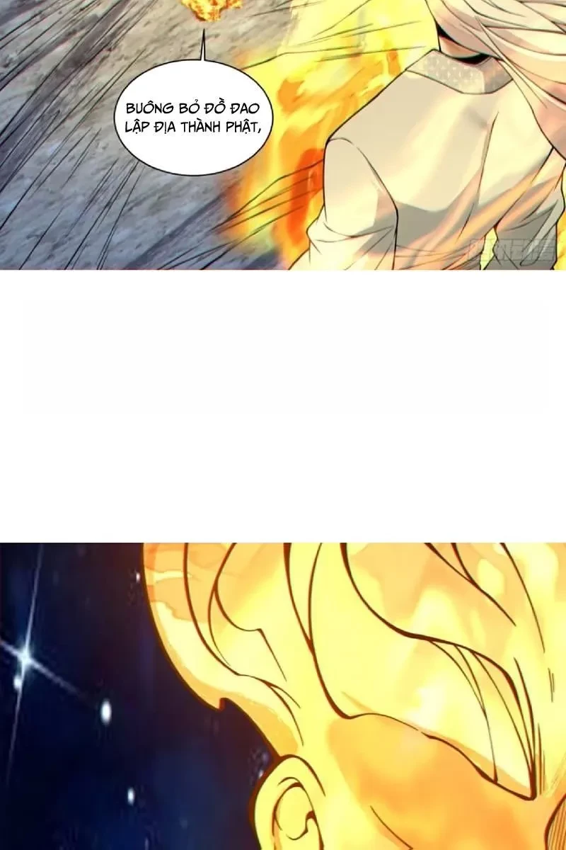 Đồ Đệ Của Ta Đều Là Đại Phản Phái Chapter 428 - 17