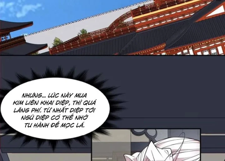 Đồ Đệ Của Ta Đều Là Đại Phản Phái Chapter 493 - 16