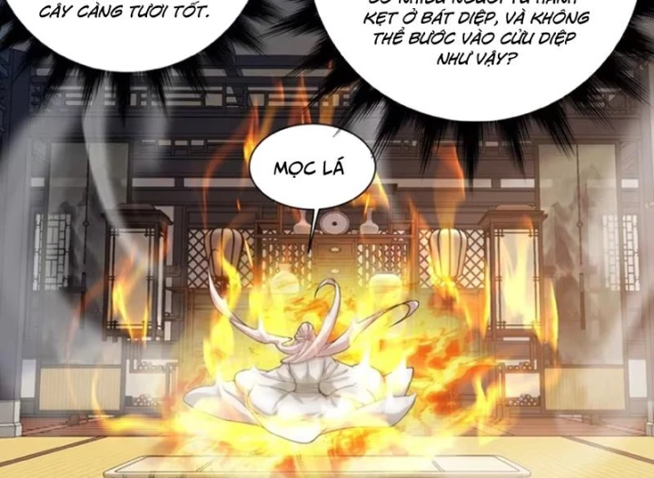 Đồ Đệ Của Ta Đều Là Đại Phản Phái Chapter 493 - 65