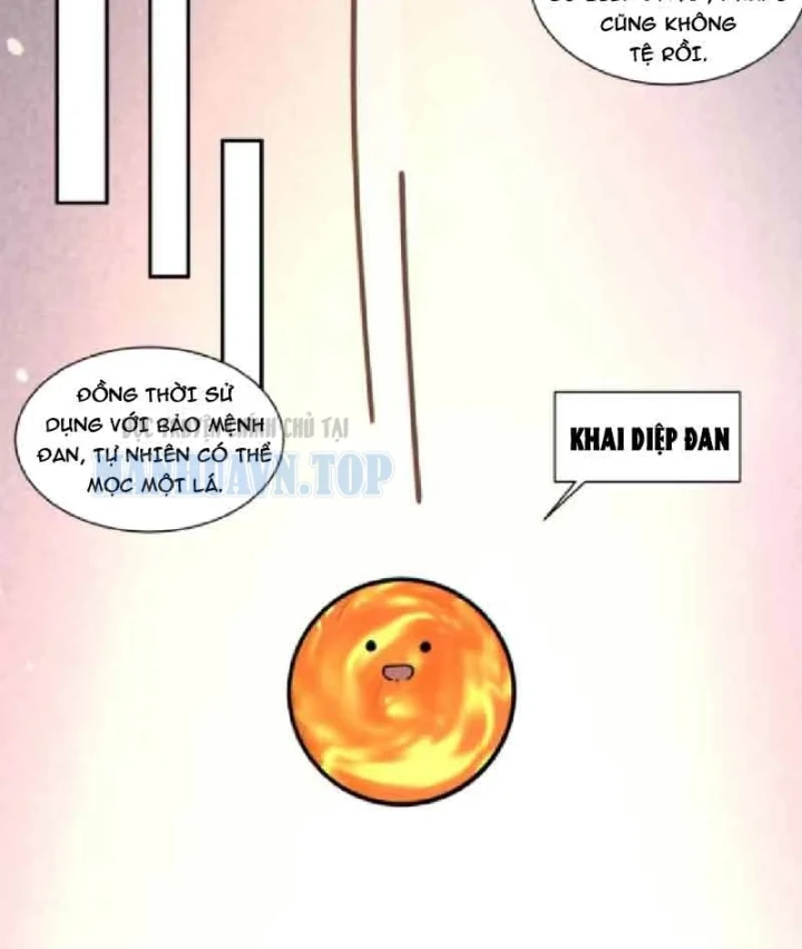 Đồ Đệ Của Ta Đều Là Đại Phản Phái Chapter 503 - 20