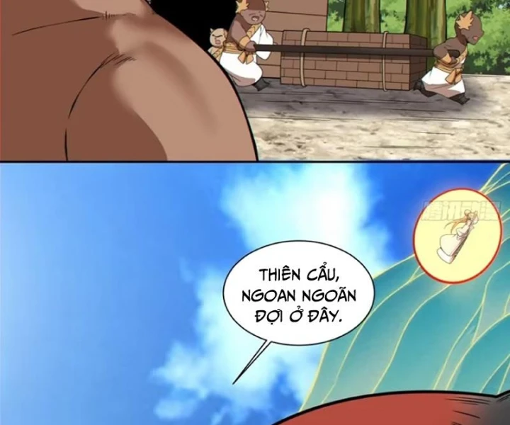 Đồ Đệ Của Ta Đều Là Đại Phản Phái Chapter 505 - 7