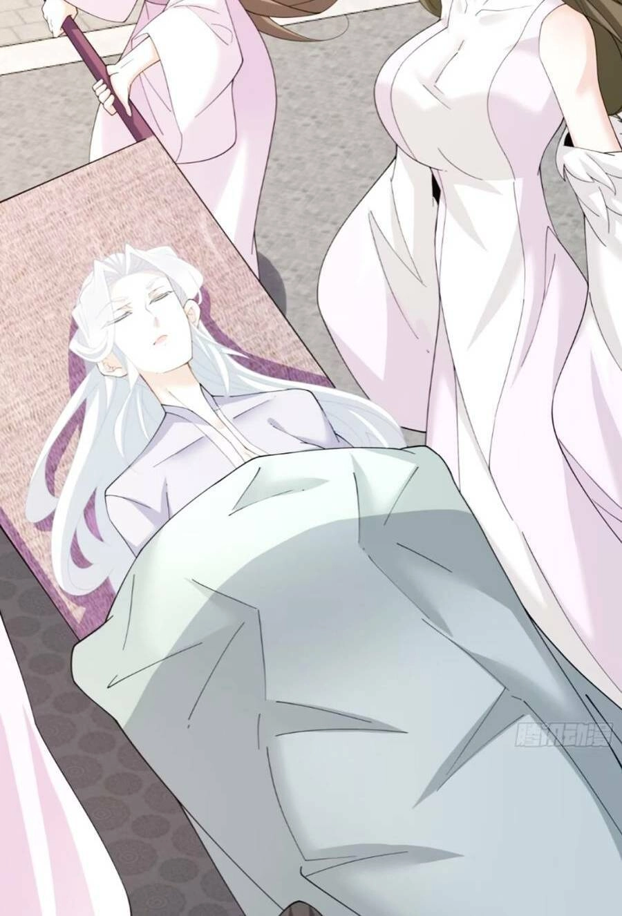 Đồ Đệ Của Ta Đều Là Đại Phản Phái Chapter 133 - 12