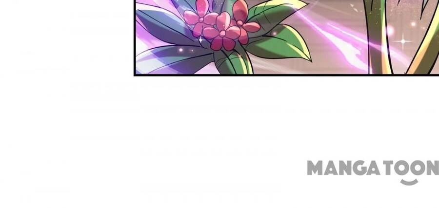 Đệ Nhất Ở Rể Chapter 117.1 - 11