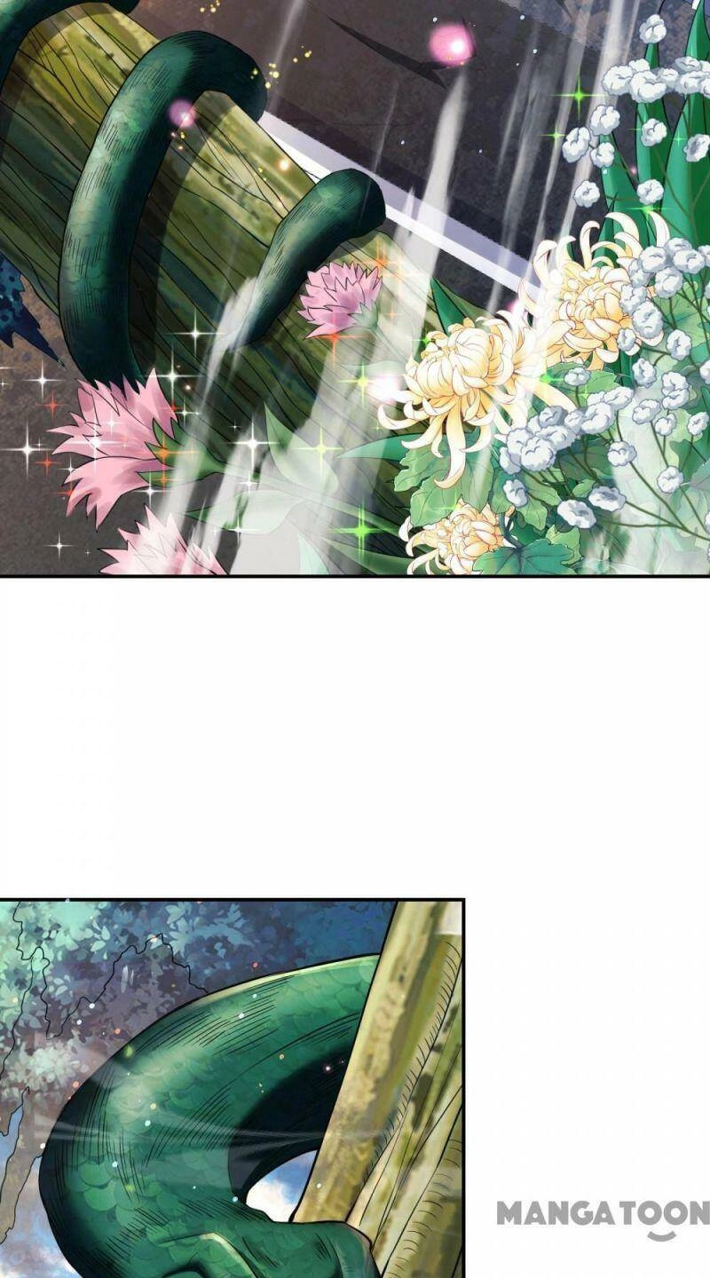 Đệ Nhất Ở Rể Chapter 124.2 - 20