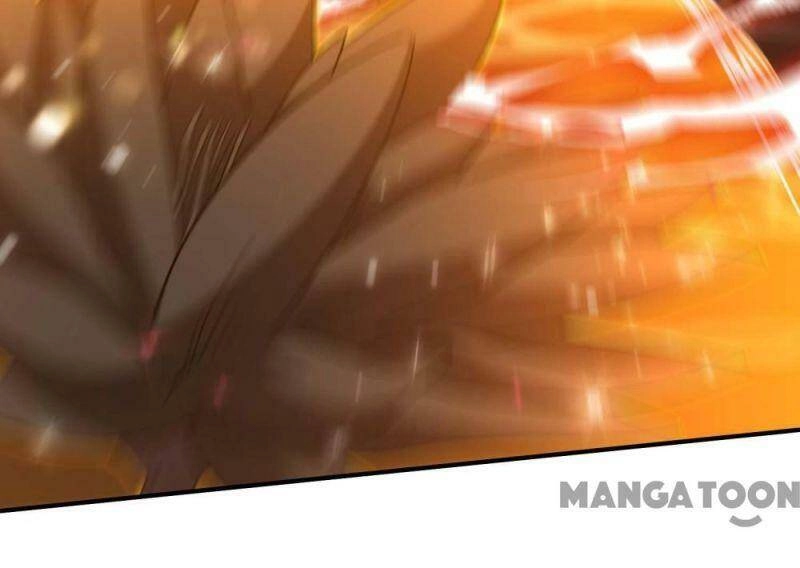 Đệ Nhất Ở Rể Chapter 133.2 - 9