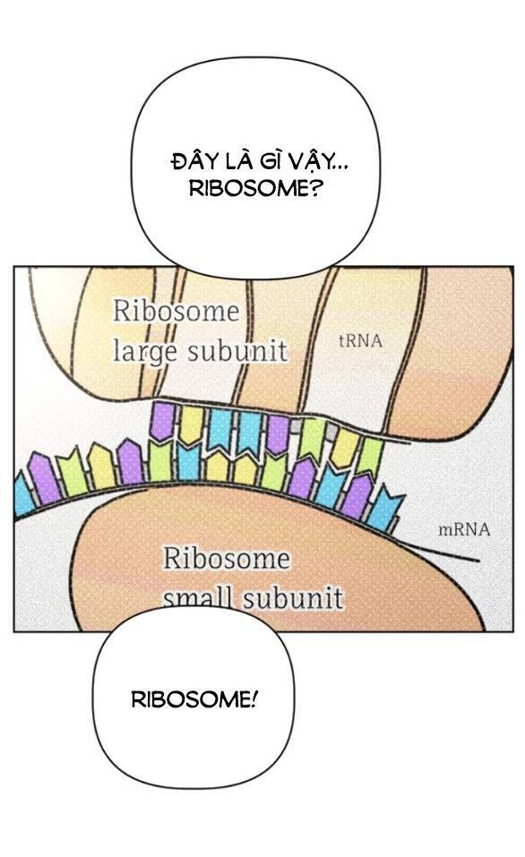 Giấc Mơ Học Thức Chapter 3.1 - 50