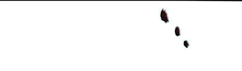 Đại Tiên Tôn Quyết Chiến Chapter 17 - 23