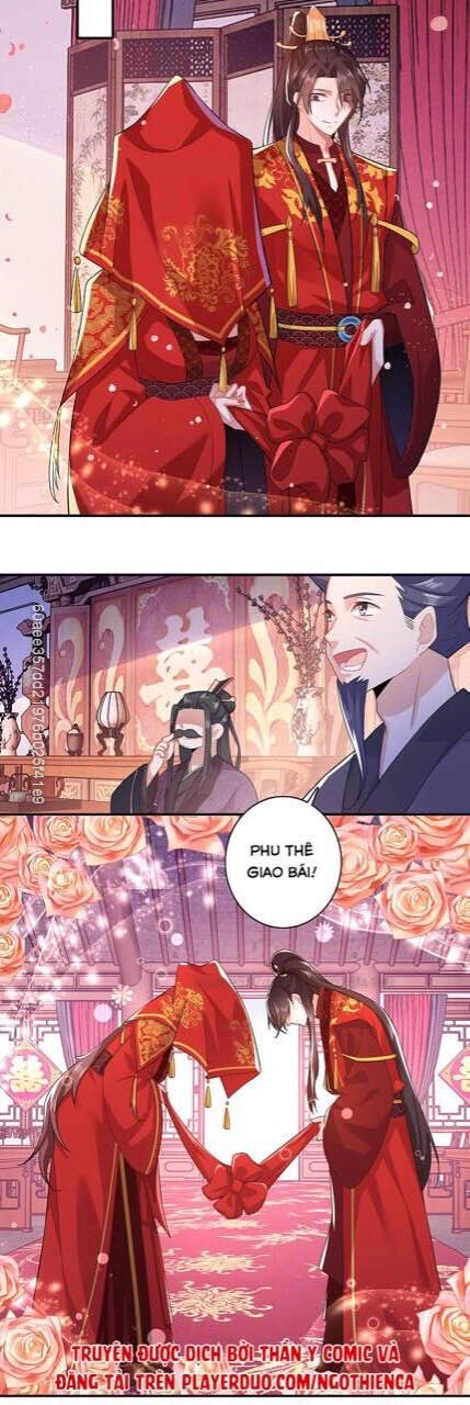 Cực Phẩm Tiên Đế Chapter 14 - 15