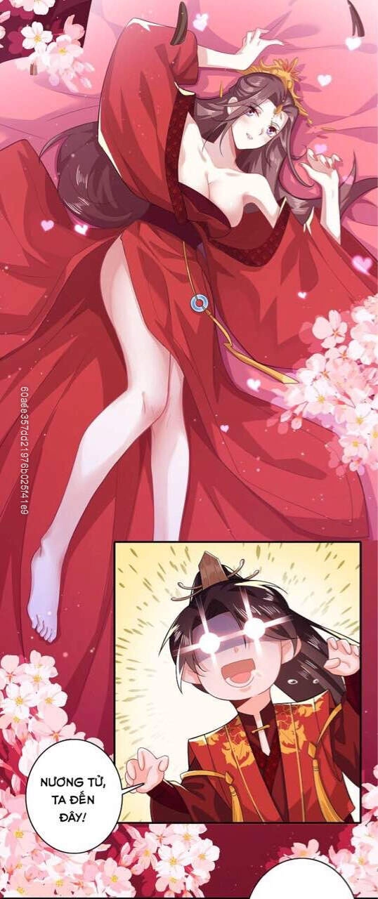 Cực Phẩm Tiên Đế Chapter 14 - 17