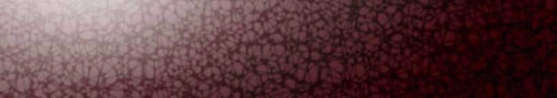 Cực Phẩm Tiên Đế Chapter 36 - 28