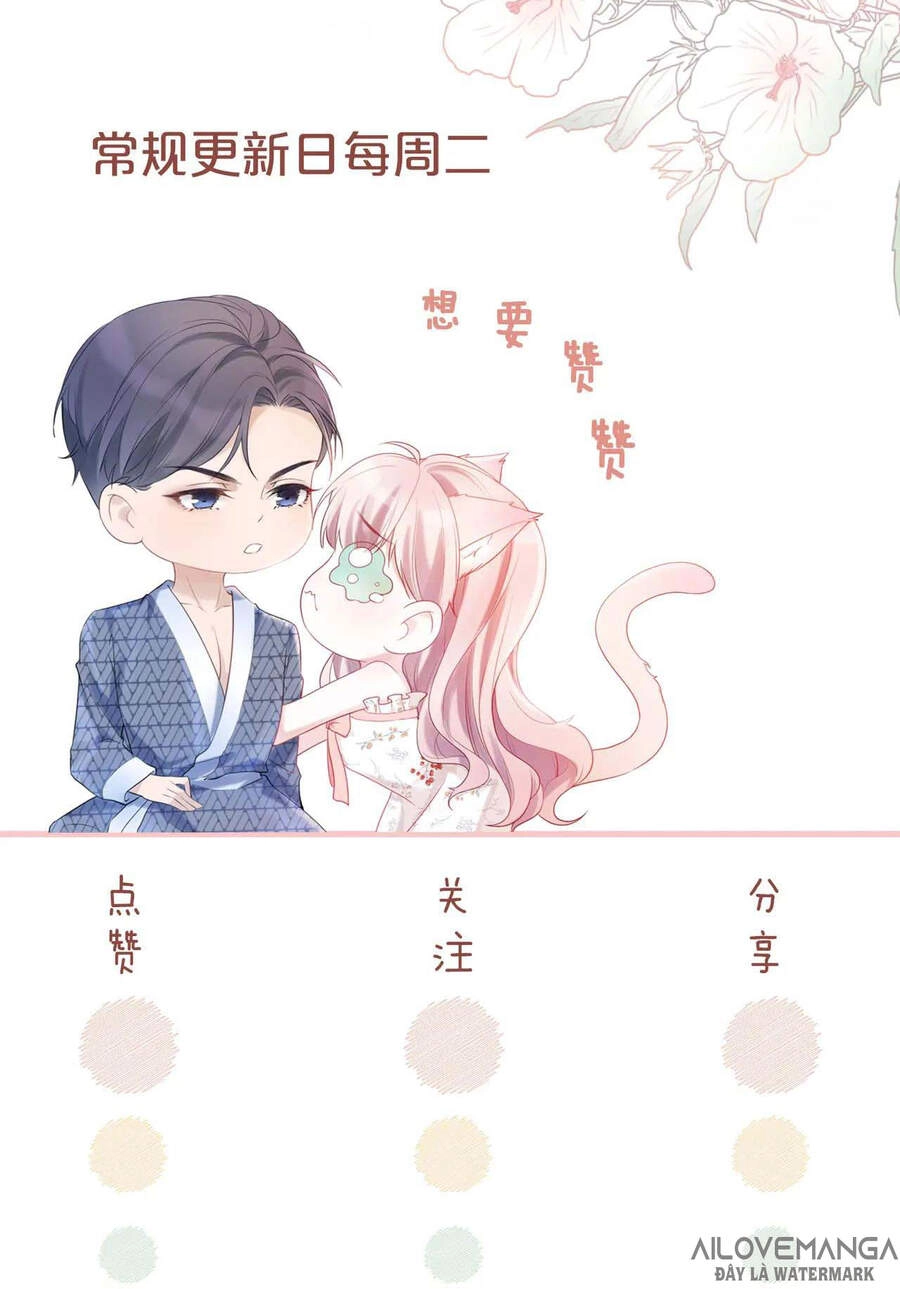 Xuyên Nhanh Nữ Phụ Bình Tĩnh Chút Chapter 15 - 54