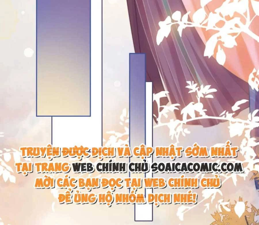 Xuyên Nhanh Nữ Phụ Bình Tĩnh Chút Chapter 119 - 19