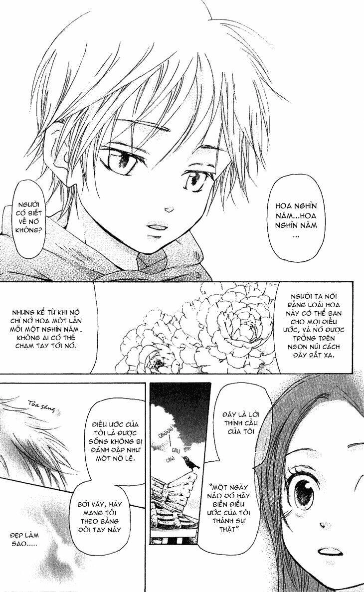 Vạn Niên Hoa Chapter 1.1 - 31