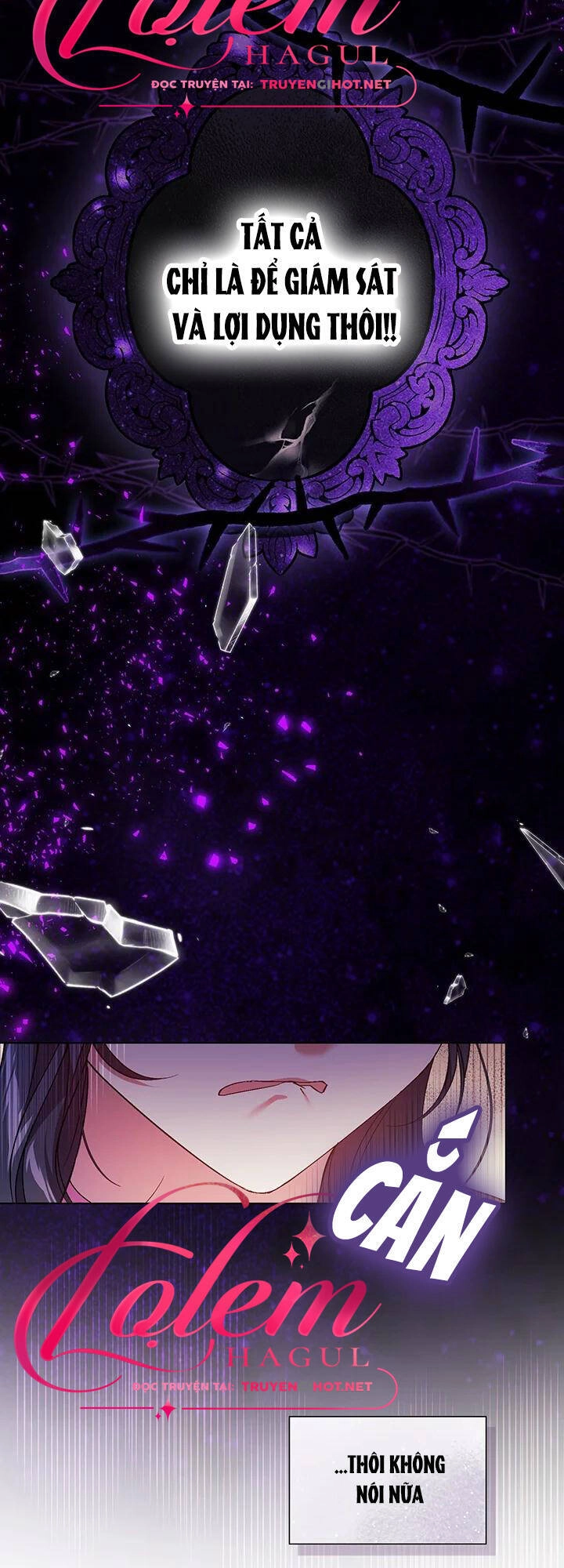 Đừng Mơ Rằng Tôi Sẽ Tin Tưởng Cô Một Lần Nữa Chapter 17 - 41